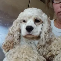 processed/4bf0257f-196c-400a-8e30-4fbc6e047e24/facility/612b0c0c-77e2-4ae5-8848-93c335eab5db