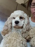 processed/4bf0257f-196c-400a-8e30-4fbc6e047e24/facility/612b0c0c-77e2-4ae5-8848-93c335eab5db