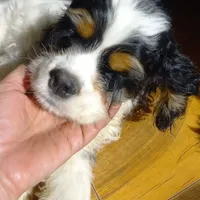 processed/4bf0257f-196c-400a-8e30-4fbc6e047e24/facility/8d169ae6-eeb9-496b-a7f8-0d30a4007bc6