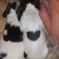 processed/4bf0257f-196c-400a-8e30-4fbc6e047e24/facility/c48afd2b-4cc4-4d49-a336-2f933e5a996c