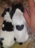 processed/4bf0257f-196c-400a-8e30-4fbc6e047e24/facility/c48afd2b-4cc4-4d49-a336-2f933e5a996c