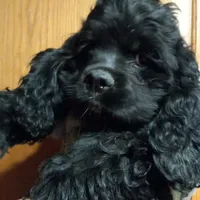 processed/4bf0257f-196c-400a-8e30-4fbc6e047e24/facility/c636c955-2830-461c-a3c1-284d44fd5d06