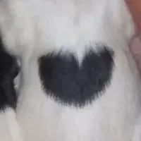 processed/4bf0257f-196c-400a-8e30-4fbc6e047e24/facility/ebb73782-d2c2-4c31-ad17-1145e55a21eb