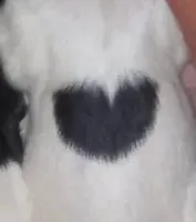 processed/4bf0257f-196c-400a-8e30-4fbc6e047e24/facility/ebb73782-d2c2-4c31-ad17-1145e55a21eb