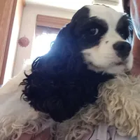 processed/4bf0257f-196c-400a-8e30-4fbc6e047e24/facility/f4269ad1-2319-438b-98cb-5c2866061650