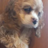 processed/4bf0257f-196c-400a-8e30-4fbc6e047e24/facility/f42c9d6a-4c91-41af-8c4b-454b84589a42