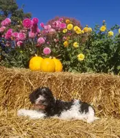 processed/4bf839b3-7e72-4a1c-b7bf-1ce090676491/listing/242b7c6e-2fee-492e-9dc6-2cfb5a1fec05/2ba476f9-d7e8-42da-9311-aca641b0e0c2