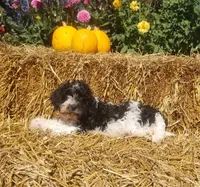 processed/4bf839b3-7e72-4a1c-b7bf-1ce090676491/listing/242b7c6e-2fee-492e-9dc6-2cfb5a1fec05/3f665a0c-6241-4868-a8ba-0664ec24d1df