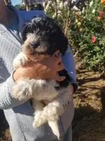 processed/4bf839b3-7e72-4a1c-b7bf-1ce090676491/listing/242b7c6e-2fee-492e-9dc6-2cfb5a1fec05/f0520cc7-9079-45a1-b336-1f9b5212e205