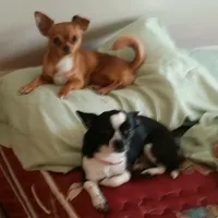 processed/4bfccdf3-cb04-4773-91a7-bc483bfa3a50/facility/a8619bb3-b05f-4638-b41d-725cdda44c94