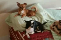 processed/4bfccdf3-cb04-4773-91a7-bc483bfa3a50/facility/a8619bb3-b05f-4638-b41d-725cdda44c94