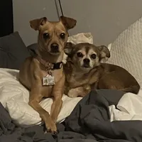 processed/4bfccdf3-cb04-4773-91a7-bc483bfa3a50/facility/fb772f15-ba57-4954-8d94-953193f83540