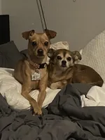 processed/4bfccdf3-cb04-4773-91a7-bc483bfa3a50/facility/fb772f15-ba57-4954-8d94-953193f83540