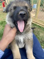 processed/4bfee35e-b6bd-4b96-ad84-cf2982b8ddf1/facility/9eee209b-4408-4bb1-b12a-e01ce7a2de02