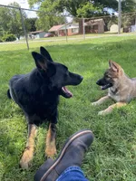 processed/4bfee35e-b6bd-4b96-ad84-cf2982b8ddf1/facility/cbe9eba1-a588-44ec-8961-37911c49a49c