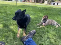 processed/4bfee35e-b6bd-4b96-ad84-cf2982b8ddf1/facility/cf8ce206-8c98-4e8b-ac89-09f431a5c94b