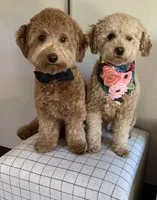 processed/4c038e88-630f-454b-8593-fc901215efee/facility/31be387a-38c6-460b-9057-70a2088f7667