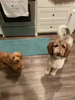 processed/4c038e88-630f-454b-8593-fc901215efee/facility/797730d9-e6ff-41ce-9c88-913708e53f1d