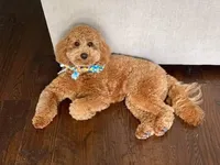 processed/4c038e88-630f-454b-8593-fc901215efee/facility/89d74aad-937d-4e8f-8aea-d694f7cee3ea