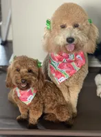 processed/4c038e88-630f-454b-8593-fc901215efee/facility/92ea956f-fa81-41ec-92e2-f81973f3c3b6