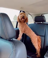 processed/4c038e88-630f-454b-8593-fc901215efee/facility/98d19250-c855-4882-962d-5521c3fcc348