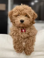 processed/4c038e88-630f-454b-8593-fc901215efee/facility/99d84728-2eab-4b9c-8aba-5f0cbcdaf2dc