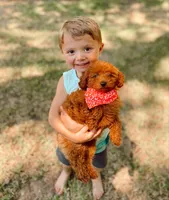 processed/4c038e88-630f-454b-8593-fc901215efee/facility/b04cc87e-339c-47b5-a7cf-70453ca0508d