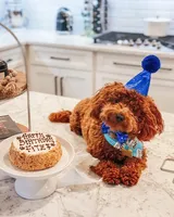 processed/4c038e88-630f-454b-8593-fc901215efee/facility/b1728734-6273-4580-95cc-28094a1a567f