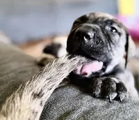 processed/4c10c0cd-b6ec-4ad2-89df-1ccd10b4529b/facility/5a2df116-2153-4928-8f30-1491a02c2609