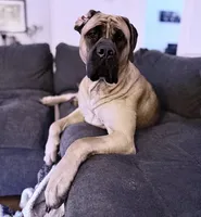 processed/4c10c0cd-b6ec-4ad2-89df-1ccd10b4529b/facility/b943214f-4f6b-4d18-994e-0795f9eb1f2b