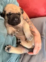 processed/4c10c0cd-b6ec-4ad2-89df-1ccd10b4529b/facility/c0abddfb-bf6e-4299-b815-71a4417e466f