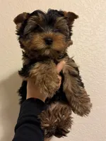 processed/4c125306-9142-4539-8a7f-150ce61bc630/facility/2b351ef7-dcf1-4489-b896-10d9735a2ed6