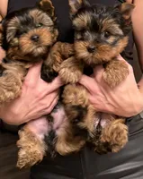 processed/4c125306-9142-4539-8a7f-150ce61bc630/facility/8bac4ecb-adc7-4f0d-b5d1-8a4dd4ab0389