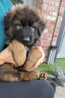 processed/4c125306-9142-4539-8a7f-150ce61bc630/listing/2cfb3c57-0297-4870-902a-c2cf691cb2cf/3efb2f77-a616-484a-b213-9a091c20e5a6