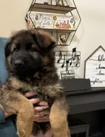 processed/4c125306-9142-4539-8a7f-150ce61bc630/listing/2cfb3c57-0297-4870-902a-c2cf691cb2cf/8ee031c3-9a59-4446-918d-fda7c47b68c1