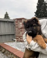 processed/4c125306-9142-4539-8a7f-150ce61bc630/listing/2cfb3c57-0297-4870-902a-c2cf691cb2cf/d9f9f293-4f58-431b-b942-534b84bc4711