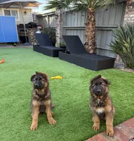 processed/4c125306-9142-4539-8a7f-150ce61bc630/listing/2cfb3c57-0297-4870-902a-c2cf691cb2cf/e91d5859-4a62-4562-aa2e-62ed2d98438f