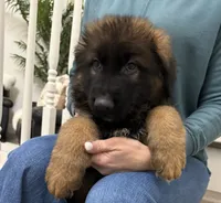 processed/4c125306-9142-4539-8a7f-150ce61bc630/listing/e639df16-a9f3-4d4b-87e4-62cdf089032f/280004ff-5334-40ff-be01-072d2c7bc7f5