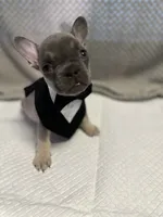 processed/4c12b13c-e9cd-43ac-8432-3d50210108f2/listing/00478e96-c270-4875-8c66-2a4a712f3f51/6a1b9c75-d2d4-4d2b-a055-c9fcc044bd0b