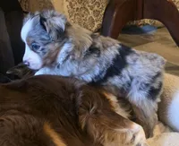 processed/4c1a8eb1-4088-45c1-ab89-39e67d39c236/listing/bd626214-4c78-47d6-895f-f0ece2f84a2a/131ed512-24bb-4ed0-8327-be7f9628b31c