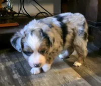 processed/4c1a8eb1-4088-45c1-ab89-39e67d39c236/listing/bd626214-4c78-47d6-895f-f0ece2f84a2a/4d340733-8311-4ab7-8707-1916e35207fb