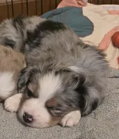 processed/4c1a8eb1-4088-45c1-ab89-39e67d39c236/listing/bd626214-4c78-47d6-895f-f0ece2f84a2a/7b8c5b78-a57f-4378-95b8-de03dcbb75cb