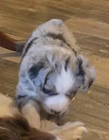 processed/4c1a8eb1-4088-45c1-ab89-39e67d39c236/listing/bd626214-4c78-47d6-895f-f0ece2f84a2a/89b0f407-f98e-4d1e-a39b-8413c1b8ff43