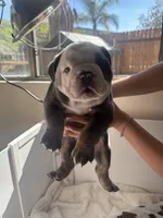 processed/4c1c7c07-2ae5-4557-9eec-e84aac95310a/listing/2dd7211e-ae35-4a53-8d26-623ea6794647/2c8ea516-8f35-4f98-8ad4-172a57741bf8