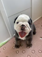 processed/4c1c7c07-2ae5-4557-9eec-e84aac95310a/listing/2dd7211e-ae35-4a53-8d26-623ea6794647/3a942c9e-069b-453e-884b-e2457ccda1de