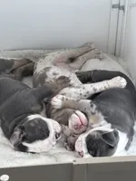 processed/4c1c7c07-2ae5-4557-9eec-e84aac95310a/listing/2dd7211e-ae35-4a53-8d26-623ea6794647/dcd469ed-620e-4c39-a971-e4b3c2fef8b8