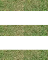 Mask, a male American Bully for sale in Calhoun Falls, SC – 1 of 3