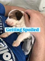 processed/4c223262-4ed1-4d29-86b7-60e36bbc5c43/facility/0cace7f9-efdd-42a8-b617-023866d5a131