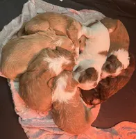 processed/4c223262-4ed1-4d29-86b7-60e36bbc5c43/facility/6deb2211-3a2b-4e8b-b780-fe6efcffb10c