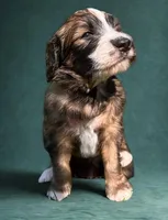 processed/4c223262-4ed1-4d29-86b7-60e36bbc5c43/facility/b01cd90e-a2d5-47aa-9a5d-d5bd3b2cc7c0